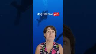 Amazing Did You Know Facts Shorts - Scuba Diving Facts Edition