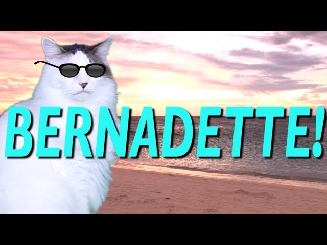 HAPPY BIRTHDAY BERNADETTE! - EPIC CAT Happy Birthday Song