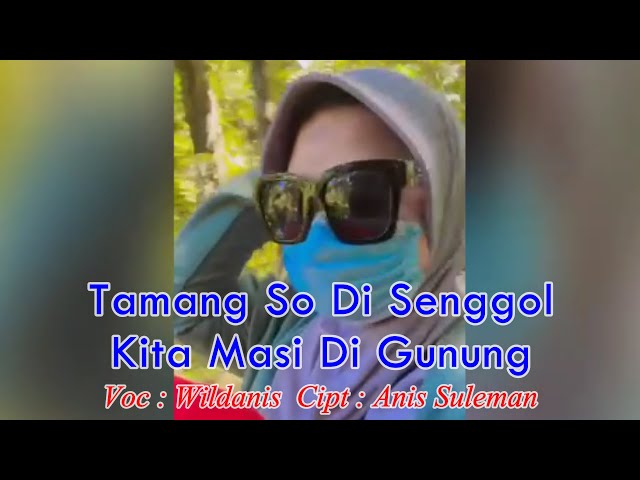 TAMANG SO DI SENGGOL KITA MASI DI GUNUNG Wildanis Osi Tambang Official (Official Music Video) class=