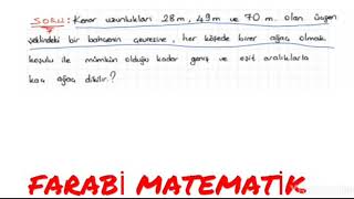 Matematik Ağaç Soruları
