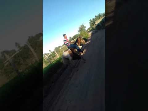 Marcos varqueiro Teotônio Vilela(3)