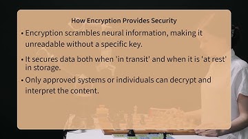 Why Use Encryption For Protecting Neural Data Privacy?