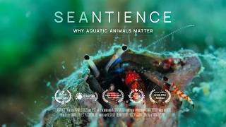 Seantience | A Documentary about the sentience of aquatic animals