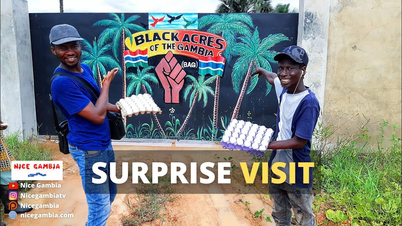 Nice Gambia Suprise Visit to BAG Family in The Gambia YouTube