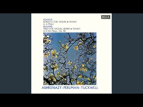 Brahms: Horn Trio in E-Flat Major, Op. 40: III. Adagio mesto