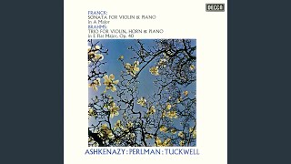Brahms: Horn Trio in E-Flat Major, Op. 40: III. Adagio mesto