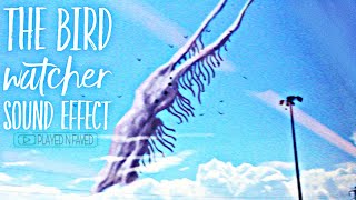 The Bird Watcher Sound Effect Bird Watcher Roar Roaring Birdwatcher Sounds Royalty Free