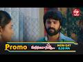 సింధును చెడుగా నిరూపించే ప్రయత్నంలో మధు సఫలమవుతుందా..? | Manasantha Nuvve |  Mon -Sat @ 8 :30 PM