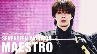 [FACECAM] 240428 세븐틴 원우 FOLLOW AGAIN SEOUL MAESTRO 직캠 4K