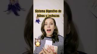 692 🦉💫 Asombroso Proceso Digestivo de Búhos y Lechuzas 🤯🦉 692 🦉💫 Asombroso Proceso Digestivo de Búhos y Lechuzas 🤯🦉