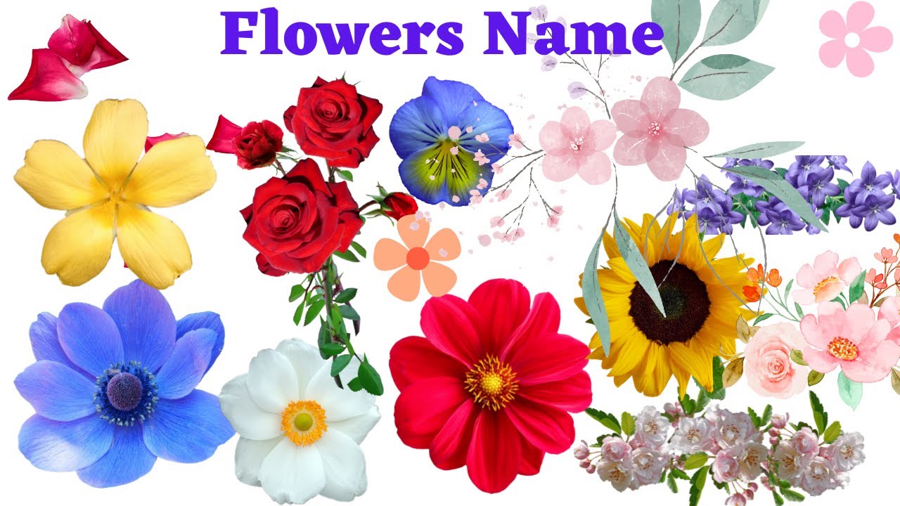 Types of Flowers Flowers Name Learn Flower names with spelling and