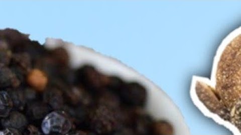 04 जनवरी शनिवार पंचमी तिथि के दिन 7 काली मिर्च वाला उपाय होगी हर मनोकामना||Pardeep Ji Mishra