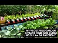 8 YEARS NA HINDI AKO BUMILI NG GULAY SA PALENGKE DAHIL SA AKING HOME VEGETABLE GARDEN