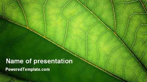 Botany PowerPoint Template by PoweredTemplate.com