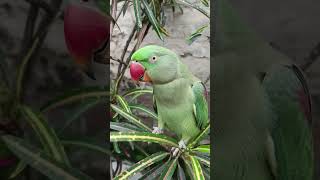 https://youtube.com/@skypluse-xq7gj?si=eOHayQd2XRW-T2PF