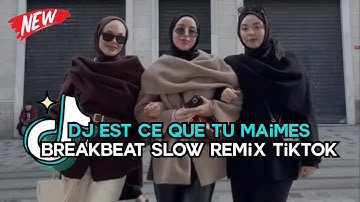 DJ Est Ce Que Tu Maimes Breakbeat Slow Remix Tiktok Fyp Viral Version 2025