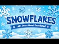 Snow flakes @MagicalLearningWithShalini # #WinterMagic #NatureForKids#ChildrenVideo #GentleMoments