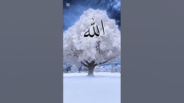 تلاوة خاشعة لسورة الإخلاص للشيخ ماهر المعيقلي #سورة_الإخلاص #قران_كريم #ماهر_المعيقلي