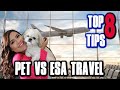 PET IN CABIN TRAVEL INFO vs ESA TRAVEL (EVERY AIRLINE IN USA) | TOP 8 Tips