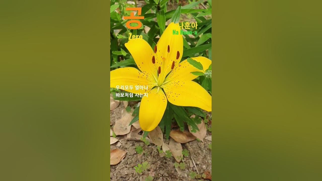 공-나훈아