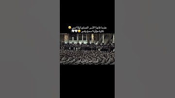 #القرآن #المغرب #القرآن_الكريم #اكسبلور #السعودية #الجزائر #تجويد #تلاوة_خاشعة #العراق #راحة_نفسية