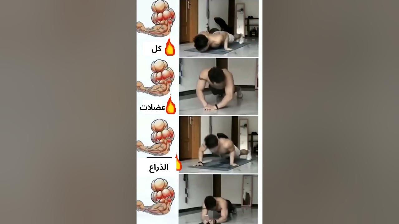 تمارين الذراع الباي والتراي بدون معدات. short#