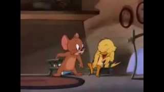 Tweety laughing scene of tom & jerry cartoon ,funny!