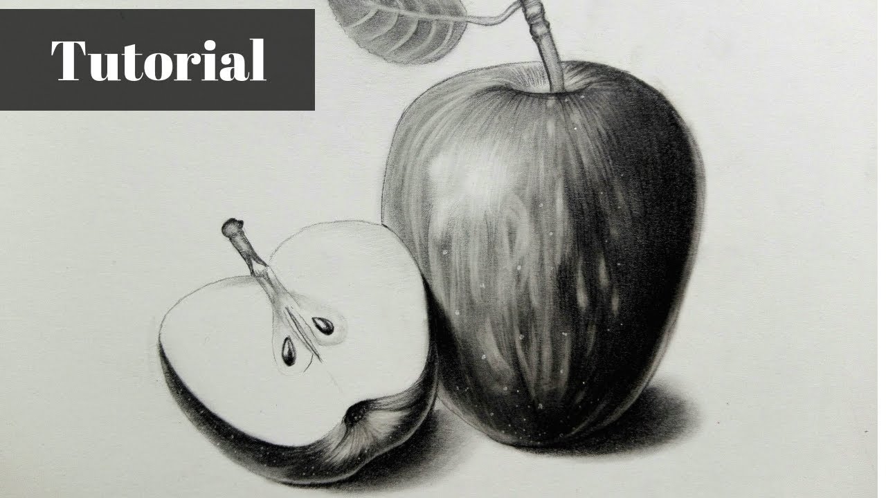 Learn how to sketch  still life art lesson