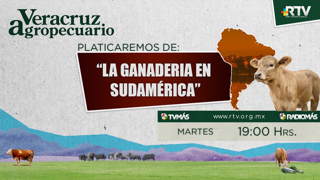 Veracruz Agropecuario 18NOV2025 - YouTube