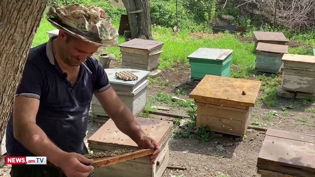 Պիտի հետը ապրես, իր կյանքը հասկանաս. սահմանամերձ Դիցմայրիի մեղվապահը