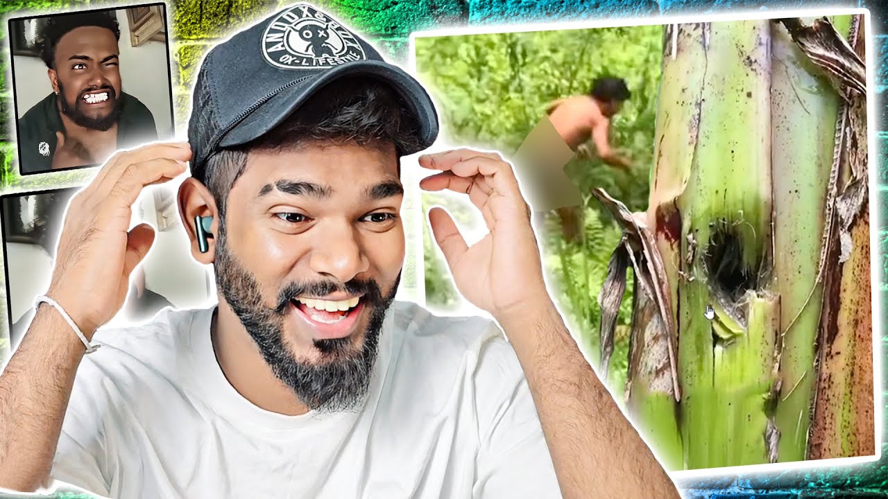 කෙහෙල්  ගහත් එක්කමයි ඇල්ලුවෙ එහෙනම් පත්මෙ..🤣 | GazTa