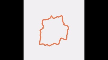 Shapes Process, by Amir Dembo, Pablo Groisman, Ruojun Huang and Vladas Sidoravicius.