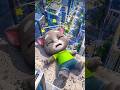 tom death cosplay by my Talking Angela 2 #mytalkingangela2 #youtubeshorts #games #talkingtom