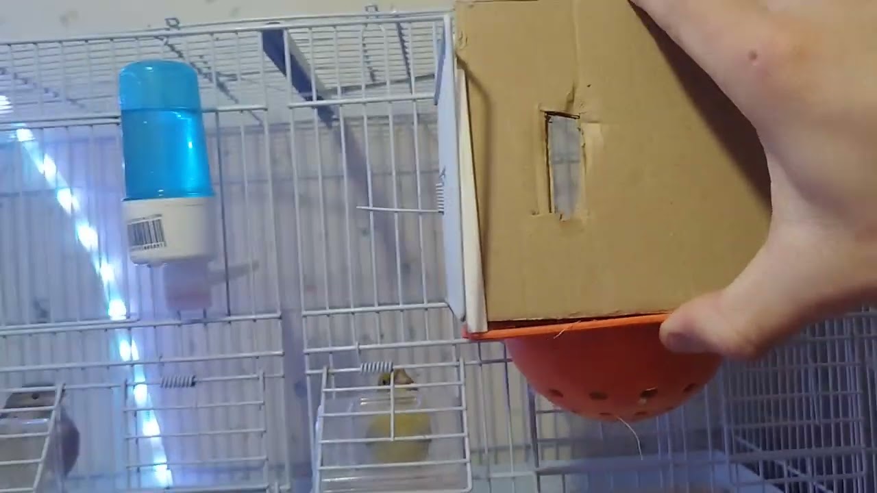 l évolution de mes jeunes 2023