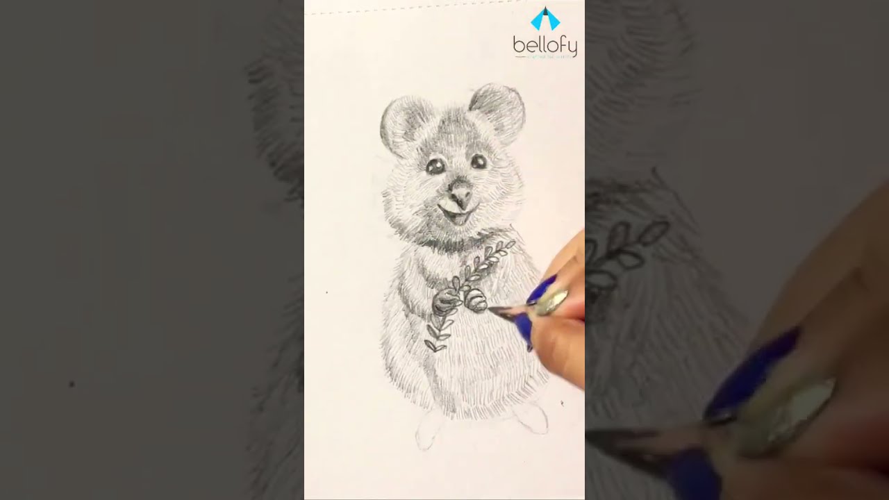 Drawing the cutest animal - quokka!