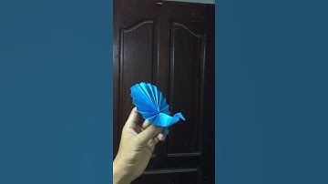 Beautiful Peacock Origami | Hướng dẫn gấp con công xòe đuôi cực đẹp