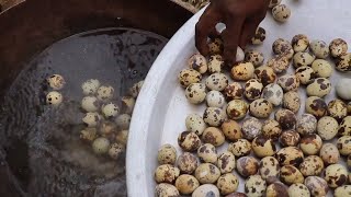 WILD QUAIL EGGS DELICIOUSLY MADE CURRY | GREAT TASTY EGG