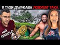 50 Факта за НОВА ЗЕЛАНДИЯ, след които ЩЕ ТАНЦУВАТЕ ХАКА