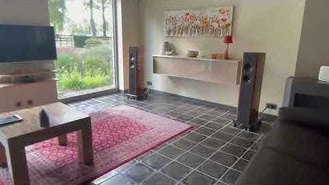 Canor Virtus A3 & Gold Note A6 Evo.