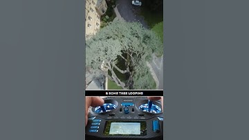 FPV Tree Fun! & Inverted Yaw #fpvdronefreestyle #fpv