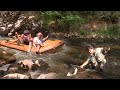 Pecanje pastrmke na Staroj planini reka Visočica - Rafting rekom Visočicom | Fishing brown trout