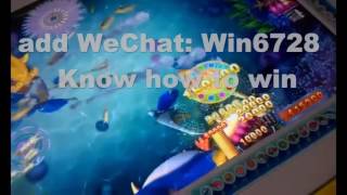 How To Play and Win Double Dragon fishing hunter game，fish jammer screenshot 2