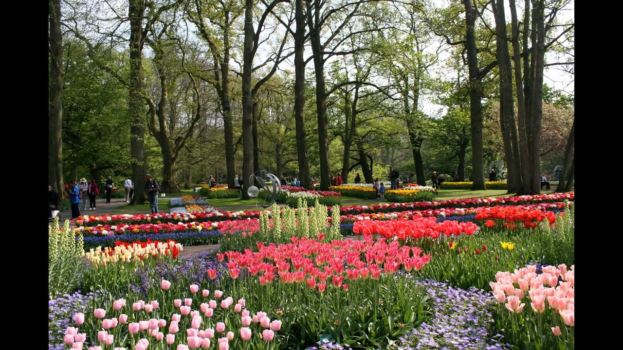 [Marvelous Place] Keukenhof gardens best time to visit YouTube