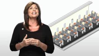 Vemma - Why A Game Plan
