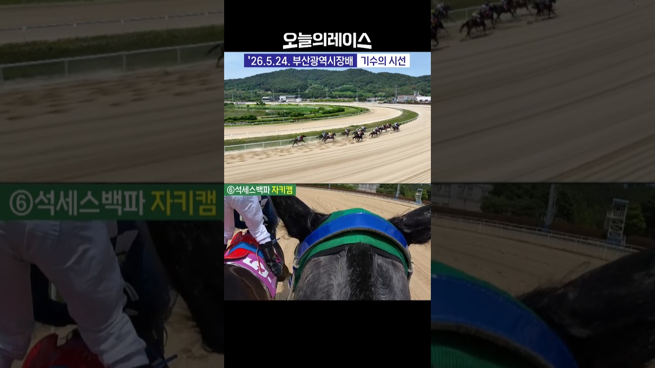 석세스백파 갈기뷰! #경마 #경마방송