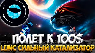 TERRA DIAMOND ОТВЕТЛЕНИЕ LUNC - TERRA LUNA РОСТ НА 10.000% | А ТЫ УСПЕЛ?