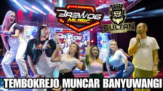 Pendanilan Dj Caca Brewog  Mening Bolo Tembokrejo Muncar Banyuwangi