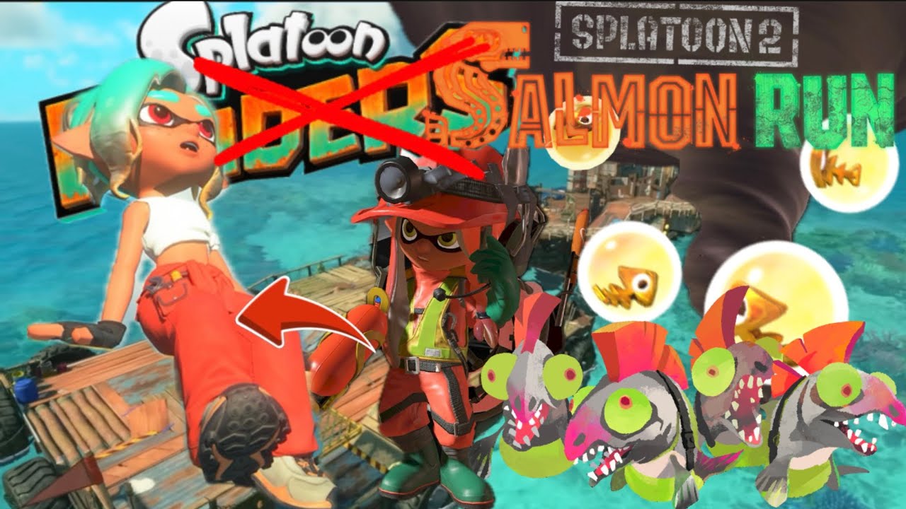 The SPLATOON RAIDERS SALMON RUN THEORY explained!!