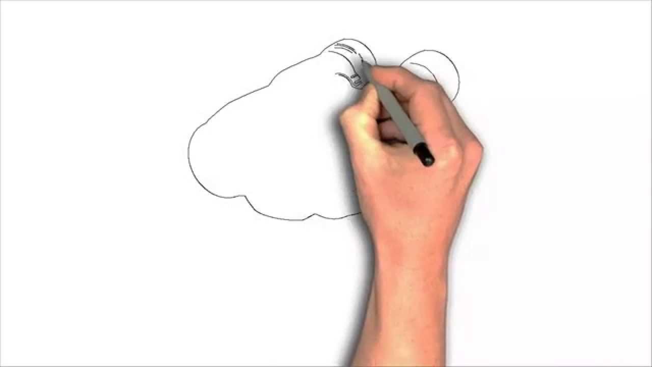 Canon Image Stabilization II Binoculars