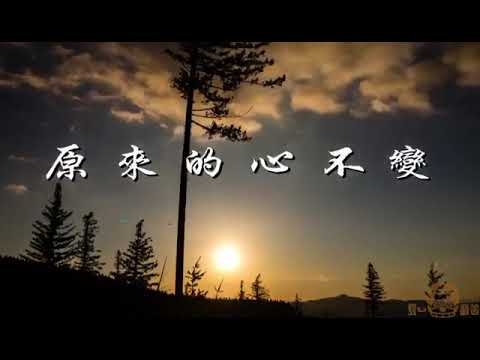 善歌 恰似你的温柔
